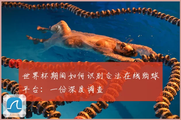 世界杯期间如何识别合法在线购球平台:一份深度调查