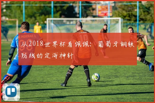 从2018世界杯看佩佩：葡萄牙钢铁防线的定海神针